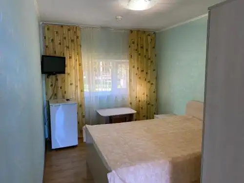 Алмаз - 52