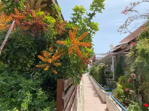 Spiros Seaside Holiday Home - 1