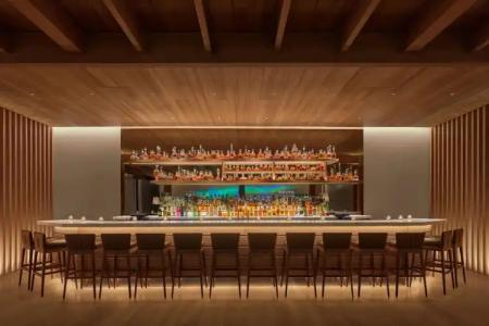 The Reykjavik Edition - 13