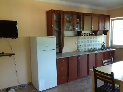 Nikola House - 12