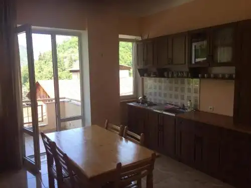 Nikola House - 1