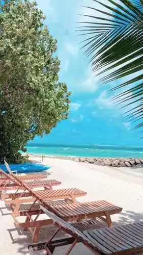 Summer Vibes Beach Front - 1