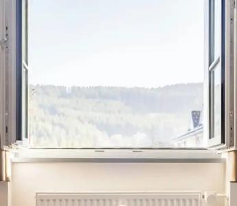 coucou & kuckucks-stube (Titisee) - 23