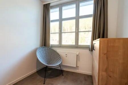 coucou & kuckucks-stube (Titisee) - 43