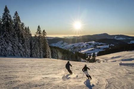 coucou & kuckucks-stube (Titisee) - 27