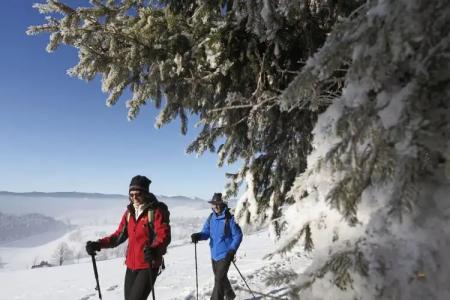 coucou & kuckucks-stube (Titisee) - 28