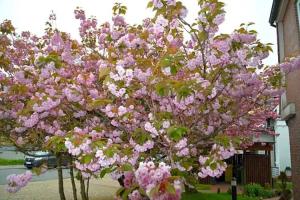 Витдюн - Гостиницы