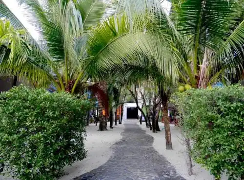 Phiphi Andaman Resort - Sha Extra Plus - 17