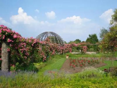 Holiday Inn Express - Darmstadt, An Ihg - 10