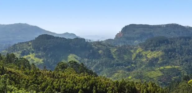 Anasa Wellness Resort - 23