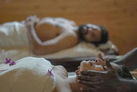 Brahmi Wellness Retreat & Spa - 25