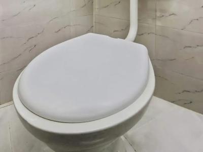 Classic comfort - 10