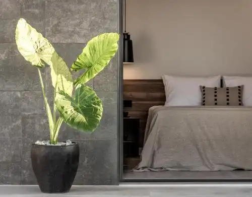 AKU Suites with private pools - 14