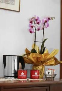 Residenza Cecchi b&b - 4