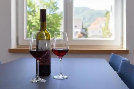 Sternen Bohlingen Aparthotel - 151