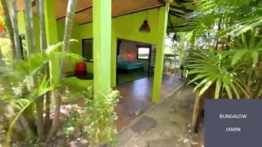 The Jade Cottage - 31