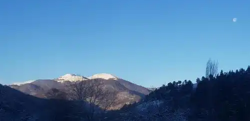 Legend of Dilijan 1894 - 26
