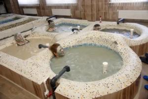 Санаторий «Танып», Новоянсаитово