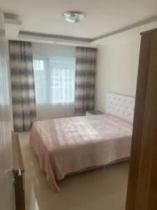Siberland olive garden 1+1 residence spa - pool - 15