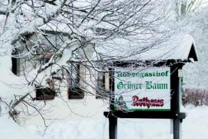Hotel & Restaurant Grüner Baum - Die Grüne Oase Am Feldberg, Фельдберг