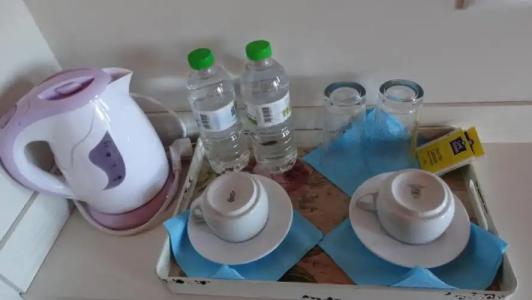 Athos Guest House Pansion - 19