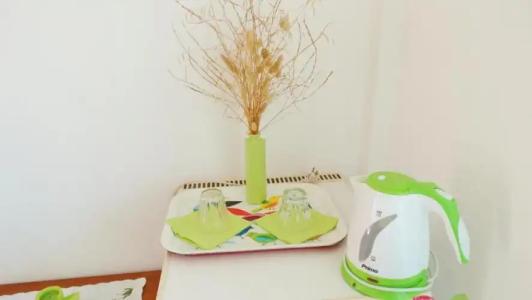 Athos Guest House Pansion - 60