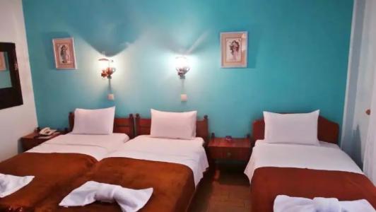 Athos Guest House Pansion - 15