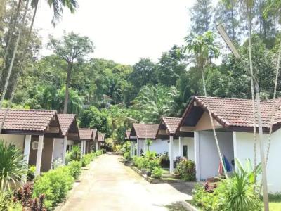 Delight Pine Tree Village - 29