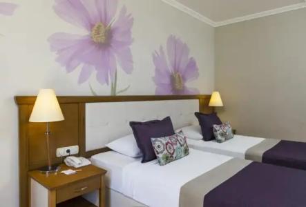 Club Felicia Village - 100