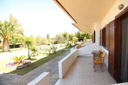 Elena  & Studios - 19