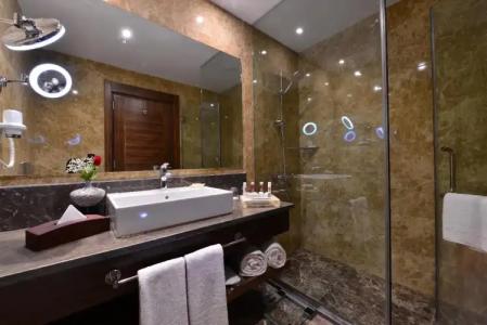 Clarion Istanbul Mahmutbey - 121