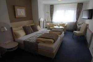 Sletz Parkhotel - Superior, Гиссен