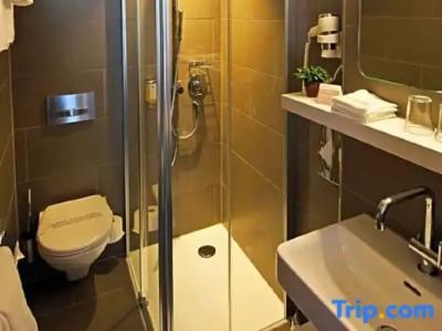 Best Western Plus Zürcherhof - 95