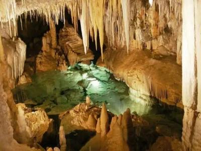 Residence Oleandro - 17