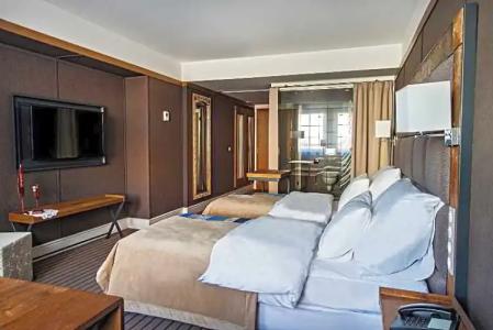 Bristol Tradition and Luxury - 33