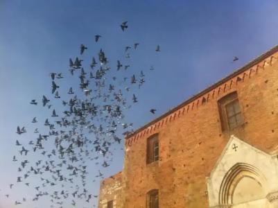 La Locanda Di San Francesco - 96