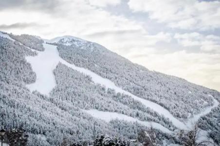 Apartamentos Prat de les Molleres - 34