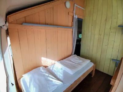 Sunflower Camping - 1