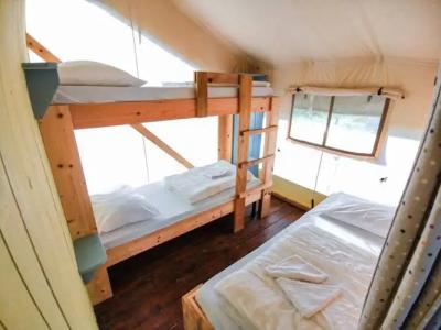 Sunflower Camping - 2