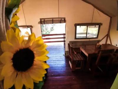 Sunflower Camping - 36