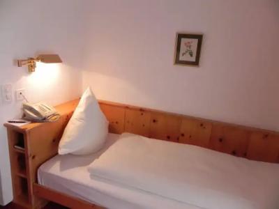 Steinbock Pontresina - 4