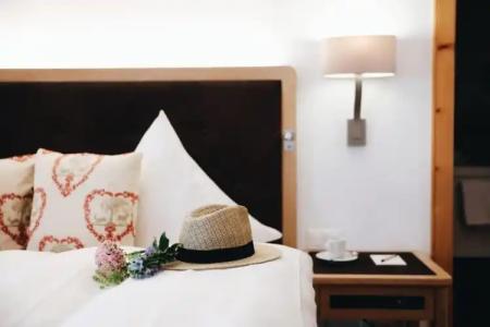 Steinbock Pontresina - 62