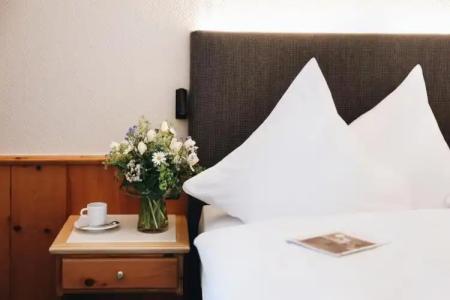 Steinbock Pontresina - 63