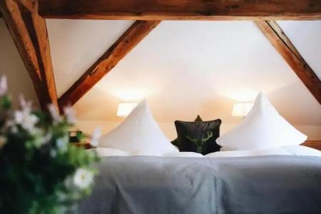 Steinbock Pontresina - 83