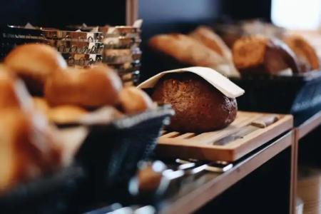 Steinbock Pontresina - 13