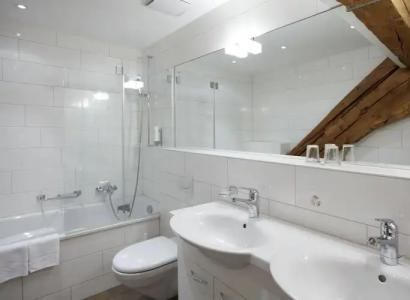 Steinbock Pontresina - 8