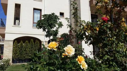 Sorrento Sole Mare - 36