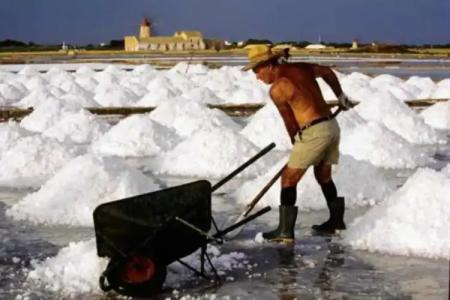 La Mimosa Case Vacanze - 102