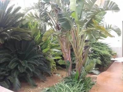 La Mimosa Case Vacanze - 84