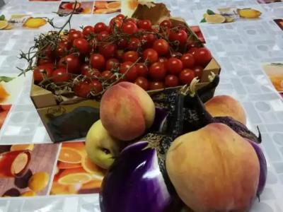 La Mimosa Case Vacanze - 62